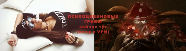 шишки Володарск