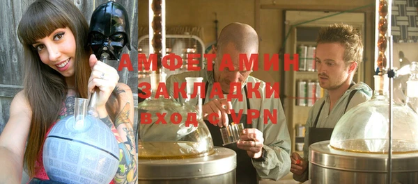 шишки Володарск