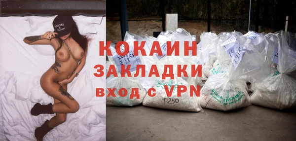 шишки Володарск