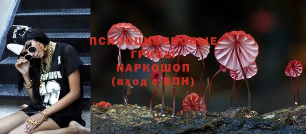 трава Волоколамск