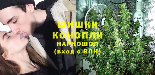 шишки Володарск