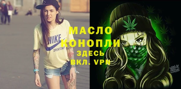 шишки Володарск