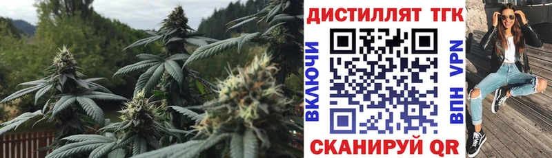 Дистиллят ТГК гашишное масло kraken вход Павловск
